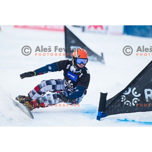 Vic Wild (RUS) in action during snowboard match of FIS Snowboard WC Parallel Gaint Slalom Rogla 2015, Rogla, Slovenia, on January 31, 2015
