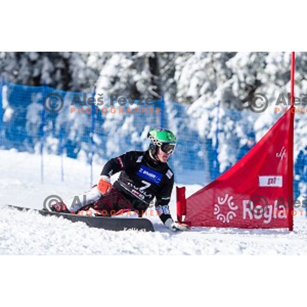 Rok Marguc (SLO) in action during snowboard match of FIS Snowboard WC Parallel Gaint Slalom Rogla 2015, Rogla, Slovenia, on January 31, 2015