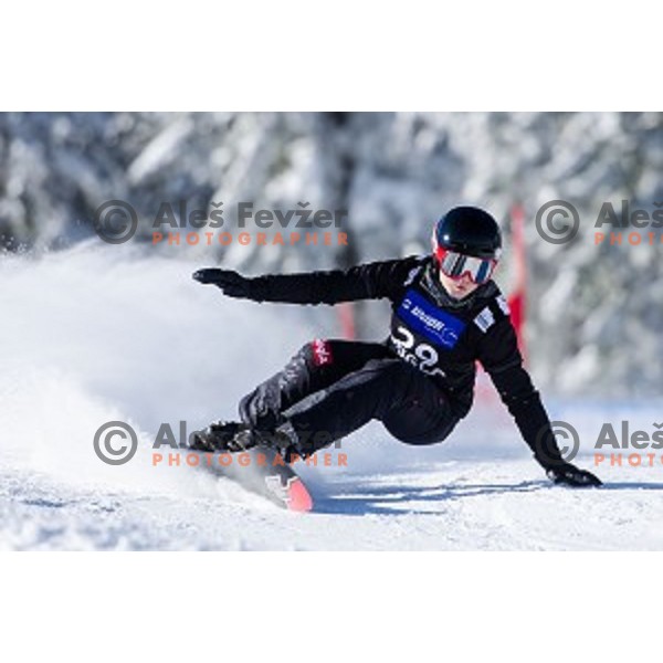 in action during snowboard match of FIS Snowboard WC Parallel Gaint Slalom Rogla 2015, Rogla, Slovenia, on January 31, 2015
