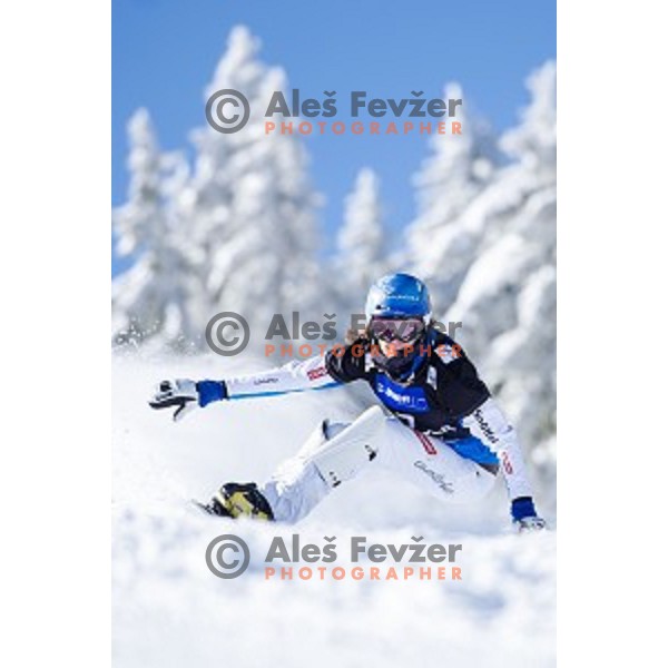 Julia Dujmovits (AUT) in action during snowboard match of FIS Snowboard WC Parallel Gaint Slalom Rogla 2015, Rogla, Slovenia, on January 31, 2015
