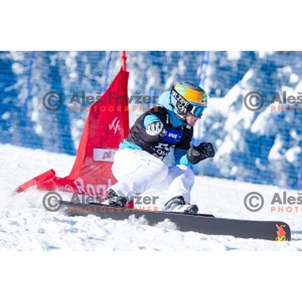 Tim Mastnjak (SLO) in action during snowboard match of FIS Snowboard WC Parallel Gaint Slalom Rogla 2015, Rogla, Slovenia, on January 31, 2015