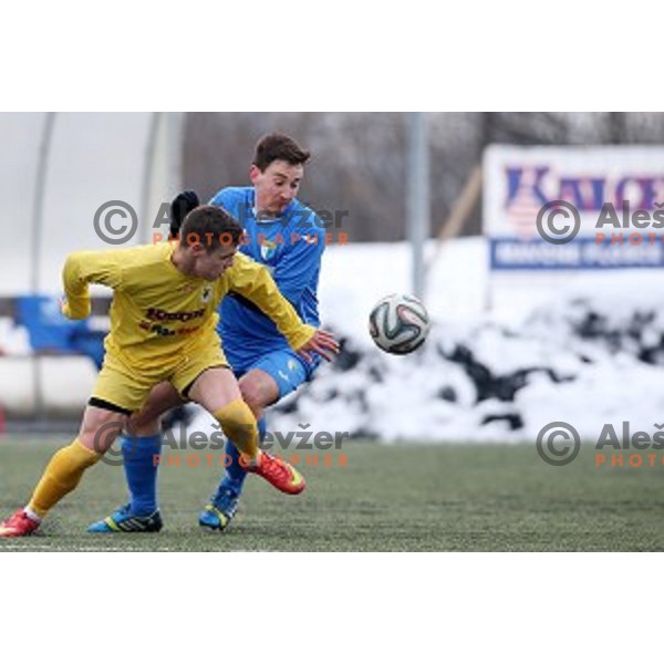 Kalcer Radomlje in action during friendly football match Kalcer Radomlje-Garmin Sencur, played in Radomlje Sports Park, Slovenia on February 4,2015