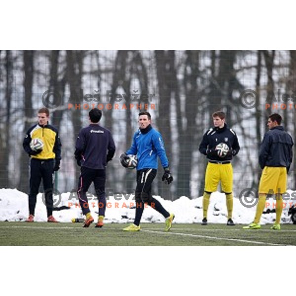 Kalcer Radomlje in action during friendly football match Kalcer Radomlje-Garmin Sencur, played in Radomlje Sports Park, Slovenia on February 4,2015