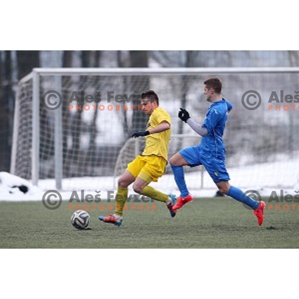 Kalcer Radomlje in action during friendly football match Kalcer Radomlje-Garmin Sencur, played in Radomlje Sports Park, Slovenia on February 4,2015