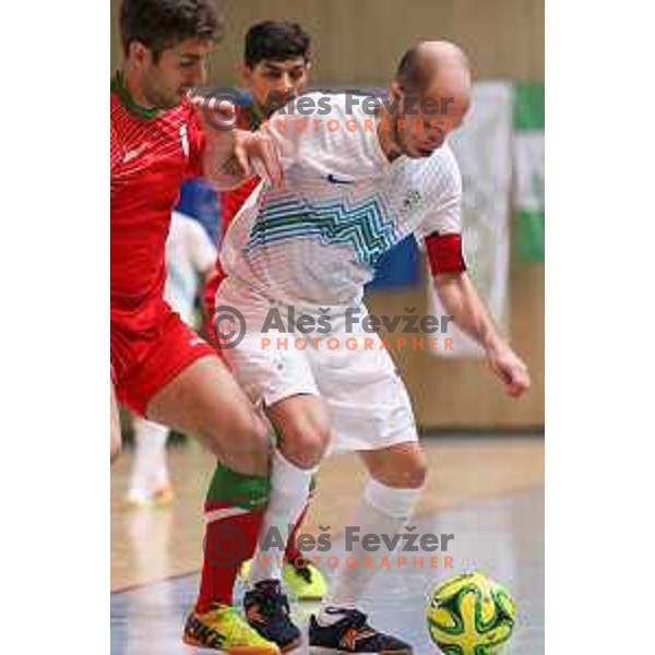 Igor Osredkar, team captain of Slovenia during friendly Futsal match between Slovenia and Iran, played in Kidricevo, Slovenia on February 10, 2015