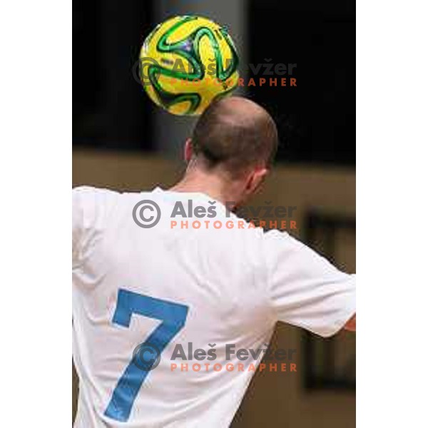 Igor Osredkar, team captain of Slovenia during friendly Futsal match between Slovenia and Iran, played in Kidricevo, Slovenia on February 10, 2015