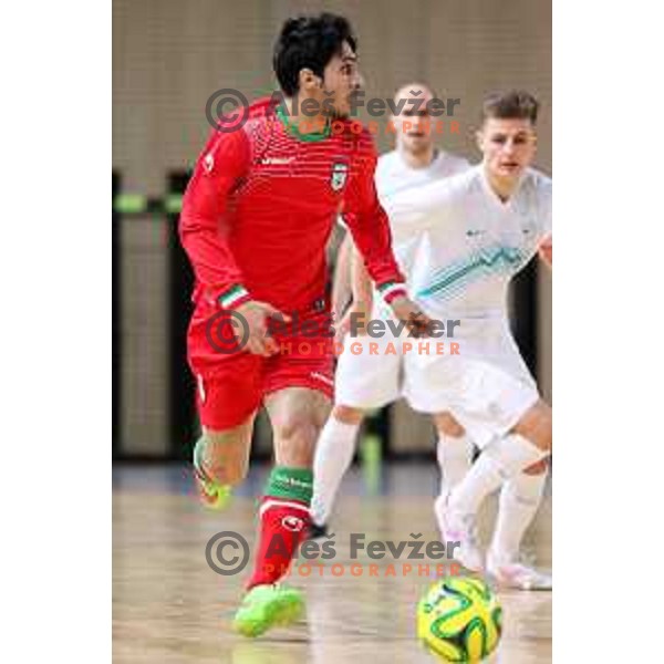 Ahmadi Hamid of Iran during friendly Futsal match between Slovenia and Iran, played in Kidricevo, Slovenia on February 10, 2015