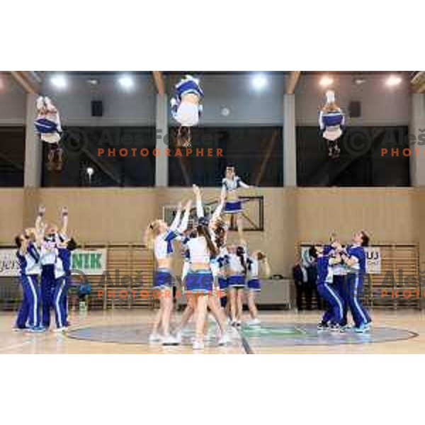Cheerleader squad Blue Warriors during friendly Futsal match between Slovenia and Iran, played in Kidricevo, Slovenia on February 10, 2015