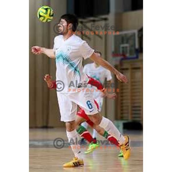 Uros Kroflic of Slovenia during friendly Futsal match between Slovenia and Iran, played in Kidricevo, Slovenia on February 10, 2015