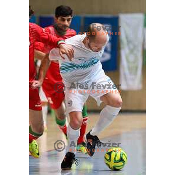Igor Osredkar, team captain of Slovenia during friendly Futsal match between Slovenia and Iran, played in Kidricevo, Slovenia on February 10, 2015