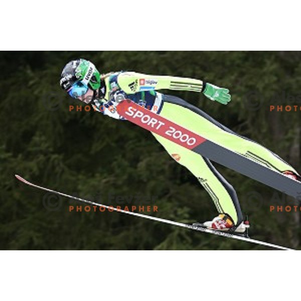 Spela Rogelj of Slovenia at FIS Ski jumping World Cup in Ljubno, Slovenia on February 14, 2015