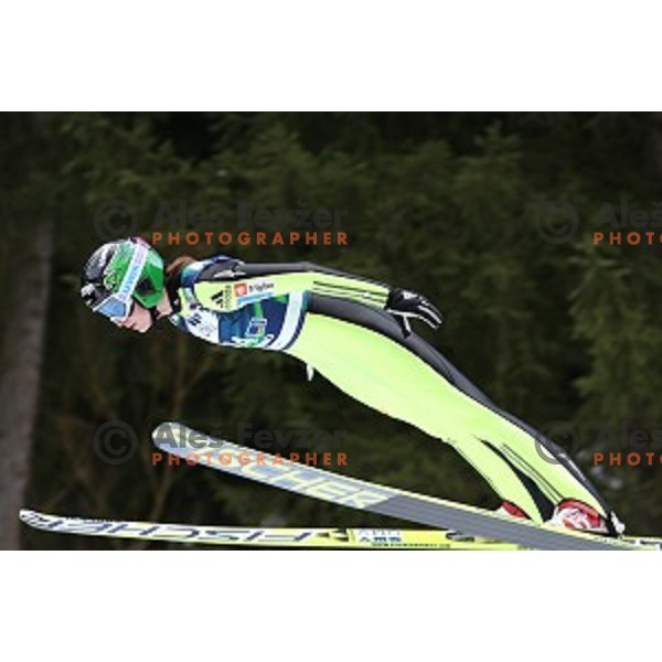 Eva Logar of Slovenia at FIS Ski jumping World Cup in Ljubno, Slovenia on February 14, 2015