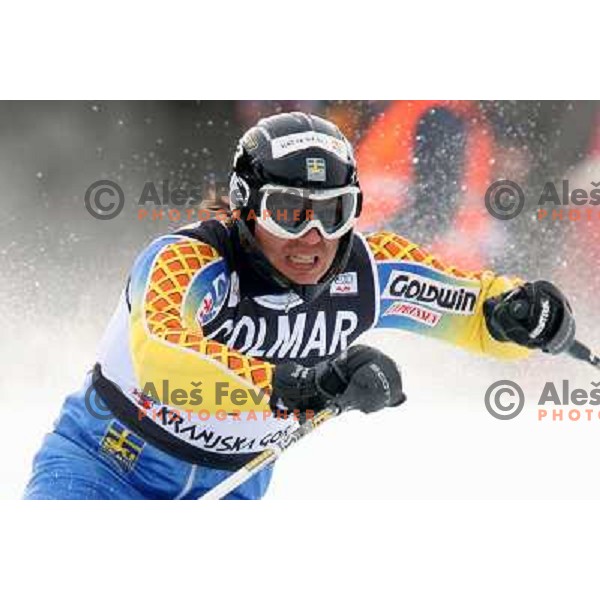 World Cup Slalom, Vitranc Cup,Kranjska gora on December 26, 2005 