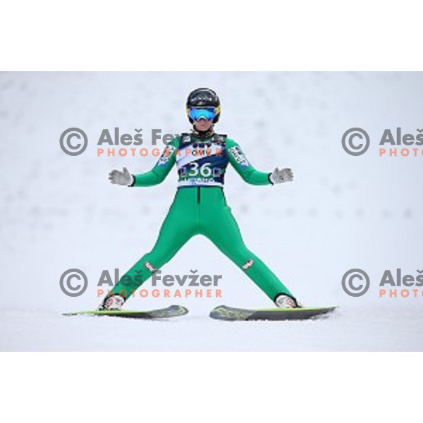  Seifridsberger (AUT) at FIS Ski jumping World Cup in Ljubno, Slovenia on February 14, 2015