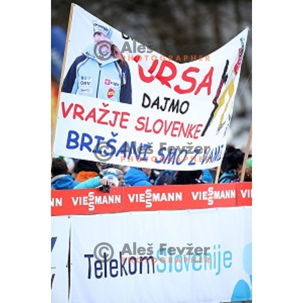 at FIS Ski jumping World Cup in Ljubno, Slovenia on February 14, 2015