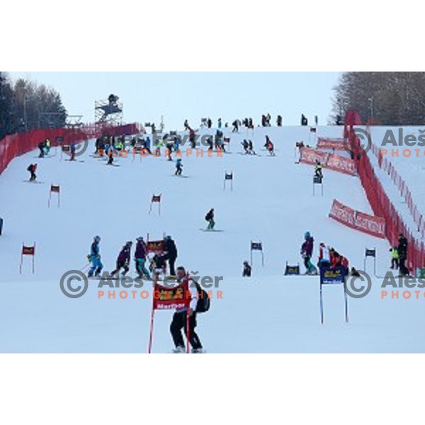 Course inspection at 51. Golden Fox. Zlata Lisica FIS World Cup Giant Slalom , Maribor, Slovenia on February 21, 2015