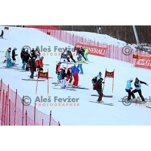 Course inspection at 51. Golden Fox. Zlata Lisica FIS World Cup Giant Slalom , Maribor, Slovenia on February 21, 2015