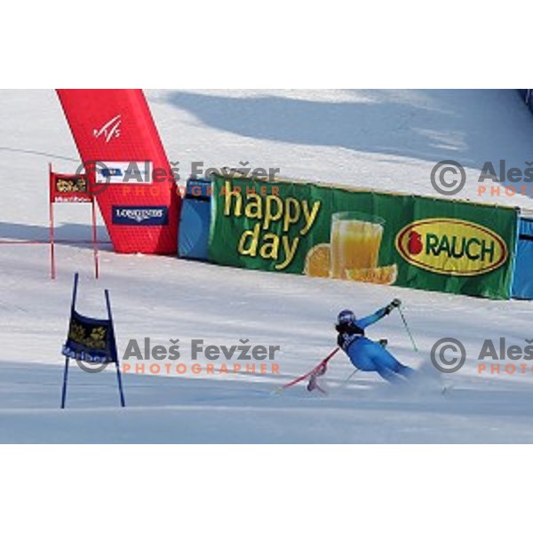 Tina Maze (SLO) during first run of 51. Golden Fox- Zlata Lisica FIS World Cup Giant Slalom in Maribor, Slovenia on February 21, 2015