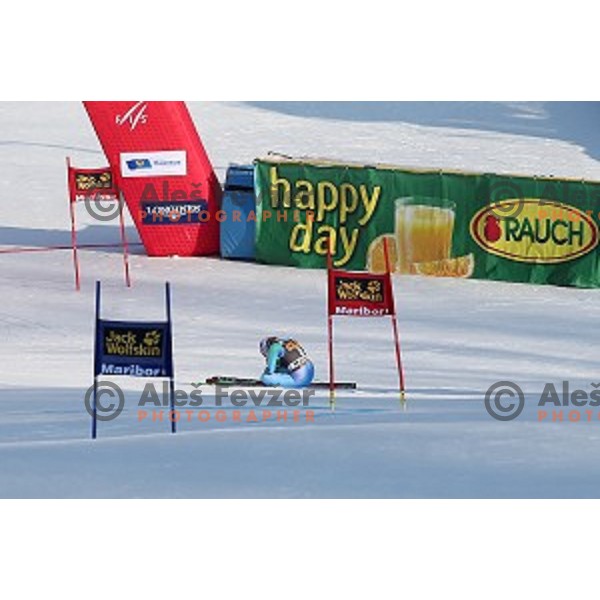 Tina Maze (SLO) during first run of 51. Golden Fox- Zlata Lisica FIS World Cup Giant Slalom in Maribor, Slovenia on February 21, 2015