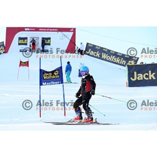 Course inspection at 51. Golden Fox. Zlata Lisica FIS World Cup Giant Slalom , Maribor, Slovenia on February 21, 2015