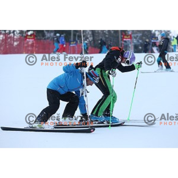 Course inspection at 51. Golden Fox. Zlata Lisica FIS World Cup Giant Slalom , Maribor, Slovenia on February 21, 2015
