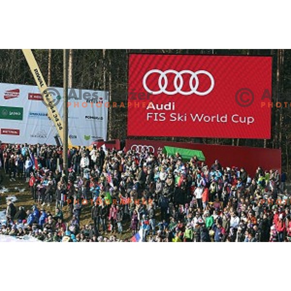 first run of 51. Golden Fox- Zlata Lisica FIS World Cup Giant Slalom in Maribor, Slovenia on February 21, 2015