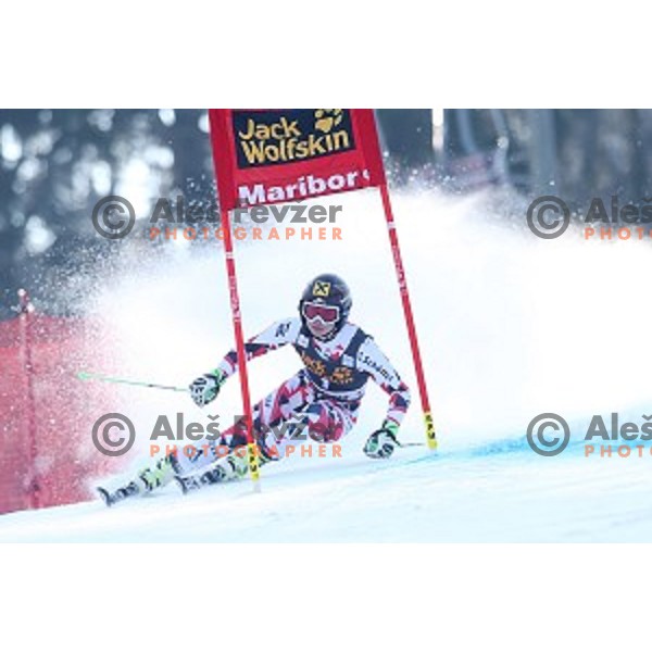 Anna Fenninger (AUT) in first run of 51. Golden Fox- Zlata Lisica FIS World Cup Giant Slalom in Maribor, Slovenia on February 21, 2015