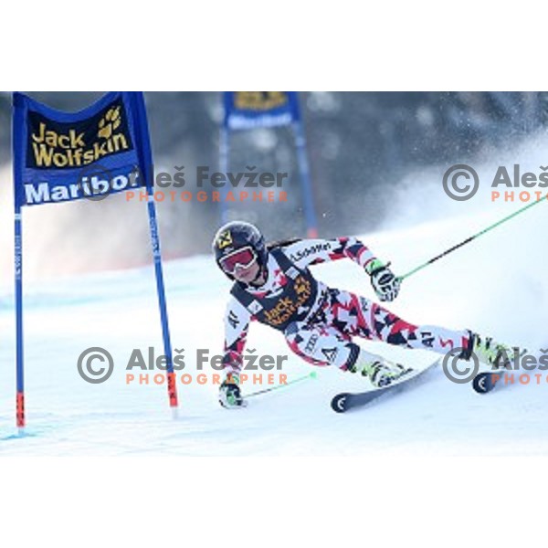 Anna Fenninger (AUT) in first run of 51. Golden Fox- Zlata Lisica FIS World Cup Giant Slalom in Maribor, Slovenia on February 21, 2015