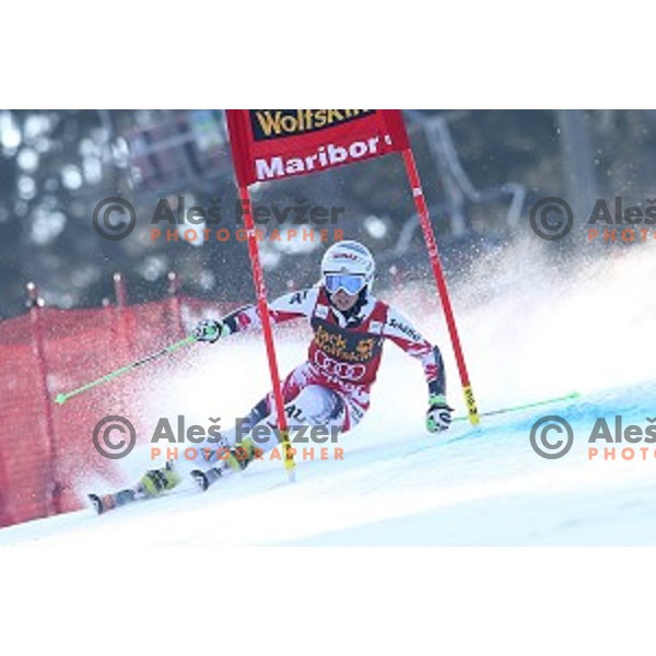 Eva Maria Brem (AUT) in first run of 51. Golden Fox- Zlata Lisica FIS World Cup Giant Slalom in Maribor, Slovenia on February 21, 2015