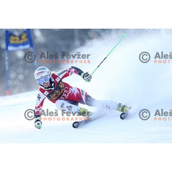 Eva Maria Brem (AUT) in first run of 51. Golden Fox- Zlata Lisica FIS World Cup Giant Slalom in Maribor, Slovenia on February 21, 2015
