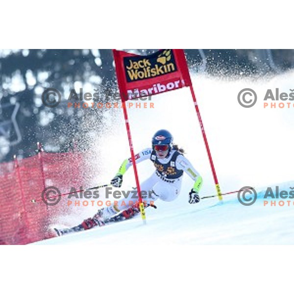 Mikaela Shiffrin (USA) skiing in first run of 51. Golden Fox- Zlata Lisica FIS World Cup Giant Slalom in Maribor, Slovenia on February 21, 2015