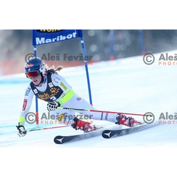 Mikaela Shiffrin (USA) skiing in first run of 51. Golden Fox- Zlata Lisica FIS World Cup Giant Slalom in Maribor, Slovenia on February 21, 2015