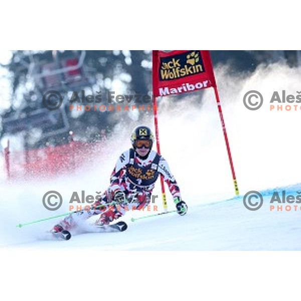 Kathrin Zettel (AUT) in first run of 51. Golden Fox- Zlata Lisica FIS World Cup Giant Slalom in Maribor, Slovenia on February 21, 2015