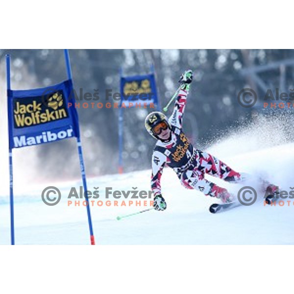 Kathrin Zettel (AUT) in first run of 51. Golden Fox- Zlata Lisica FIS World Cup Giant Slalom in Maribor, Slovenia on February 21, 2015