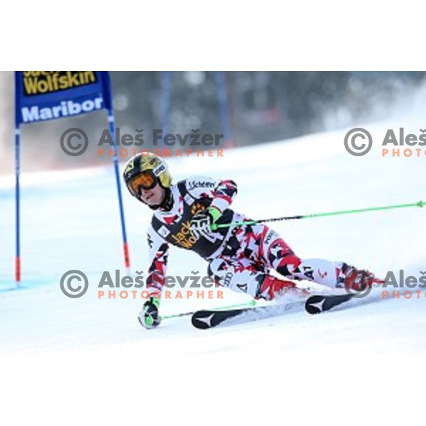 Kathrin Zettel (AUT) in first run of 51. Golden Fox- Zlata Lisica FIS World Cup Giant Slalom in Maribor, Slovenia on February 21, 2015