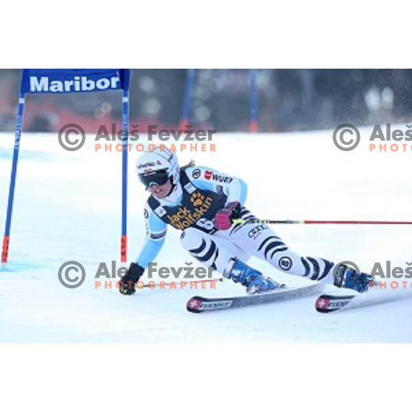 Viktoria Rebensburg (GER) in first run of 51. Golden Fox- Zlata Lisica FIS World Cup Giant Slalom in Maribor, Slovenia on February 21, 2015