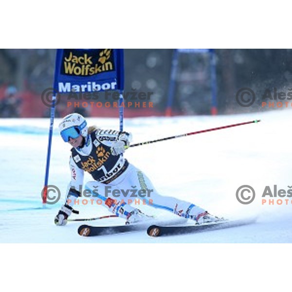 Jessica Lindell Vikarby (SWE) in first run of 51. Golden Fox- Zlata Lisica FIS World Cup Giant Slalom in Maribor, Slovenia on February 21, 2015