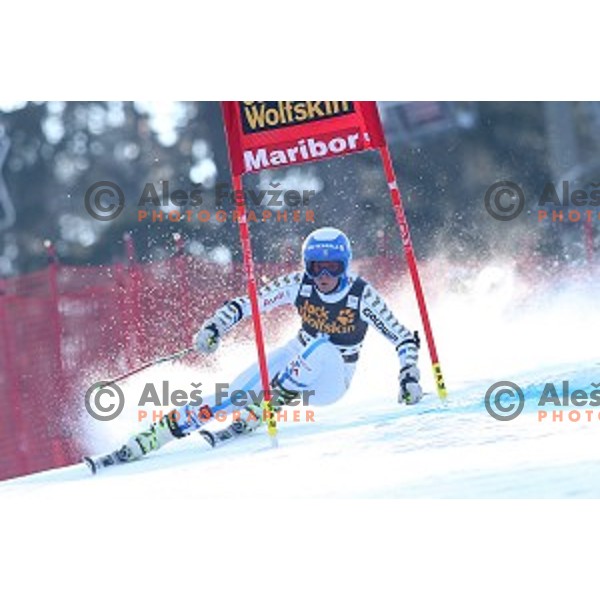 Sara Hector (SWE) in first run of 51. Golden Fox- Zlata Lisica FIS World Cup Giant Slalom in Maribor, Slovenia on February 21, 2015