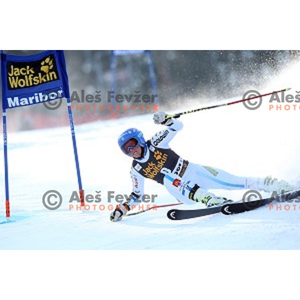 Sara Hector (SWE) in first run of 51. Golden Fox- Zlata Lisica FIS World Cup Giant Slalom in Maribor, Slovenia on February 21, 2015