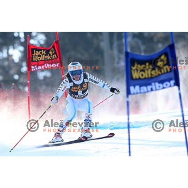 Maria Pietilae Holmner (SWE) in first run of 51. Golden Fox- Zlata Lisica FIS World Cup Giant Slalom in Maribor, Slovenia on February 21, 2015