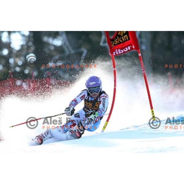 Tessa Worley (FRA) in first run of 51. Golden Fox- Zlata Lisica FIS World Cup Giant Slalom in Maribor, Slovenia on February 21, 2015
