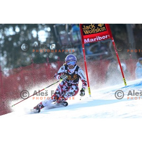 Michaela Kirchgasser (AUT) in first run of 51. Golden Fox- Zlata Lisica FIS World Cup Giant Slalom in Maribor, Slovenia on February 21, 2015