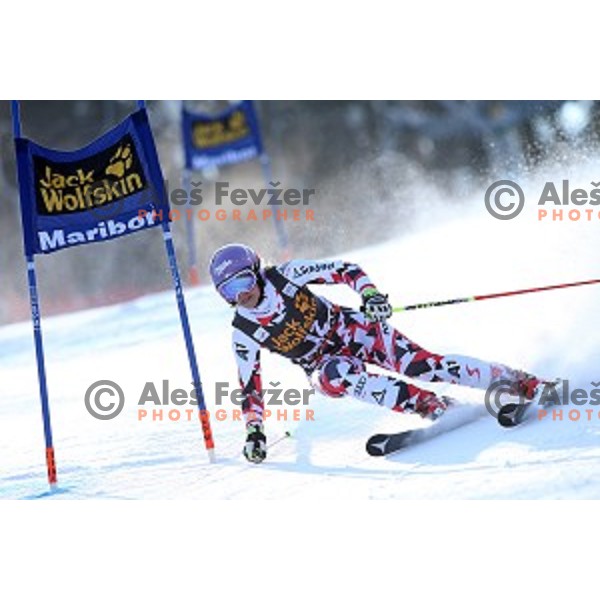 Michaela Kirchgasser (AUT) in first run of 51. Golden Fox- Zlata Lisica FIS World Cup Giant Slalom in Maribor, Slovenia on February 21, 2015