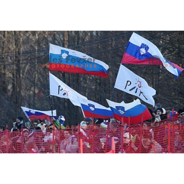 first run of 51. Golden Fox- Zlata Lisica FIS World Cup Giant Slalom in Maribor, Slovenia on February 21, 2015