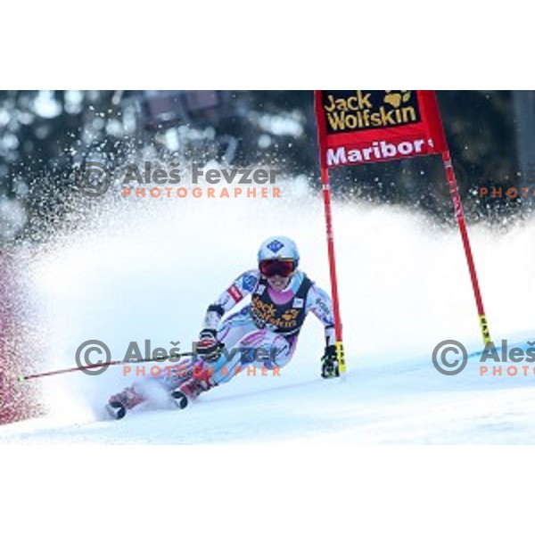 Tina Weirather (LIE) in first run of 51. Golden Fox- Zlata Lisica FIS World Cup Giant Slalom in Maribor, Slovenia on February 21, 2015