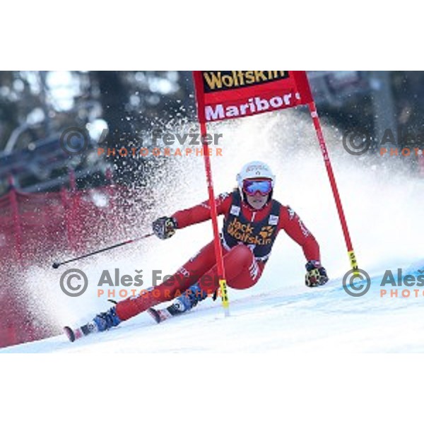 Federica Brignone (ITA) in first run of 51. Golden Fox- Zlata Lisica FIS World Cup Giant Slalom in Maribor, Slovenia on February 21, 2015