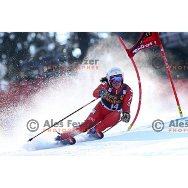 Federica Brignone (ITA) in first run of 51. Golden Fox- Zlata Lisica FIS World Cup Giant Slalom in Maribor, Slovenia on February 21, 2015
