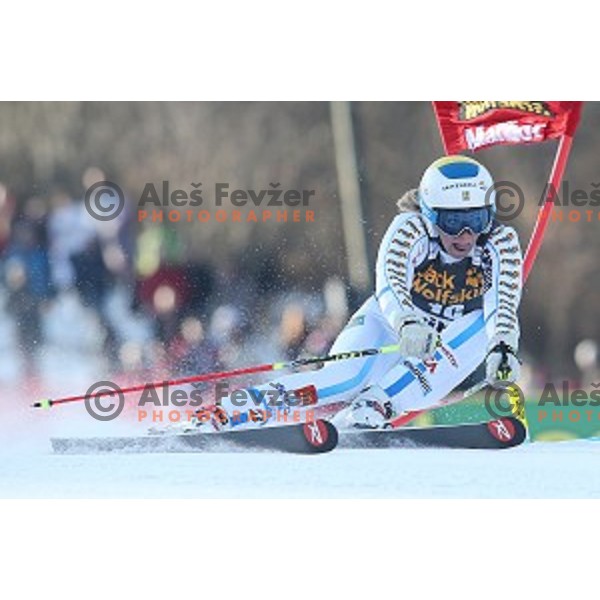 Frida Hansdotter (SWE) in first run of 51. Golden Fox- Zlata Lisica FIS World Cup Giant Slalom in Maribor, Slovenia on February 21, 2015