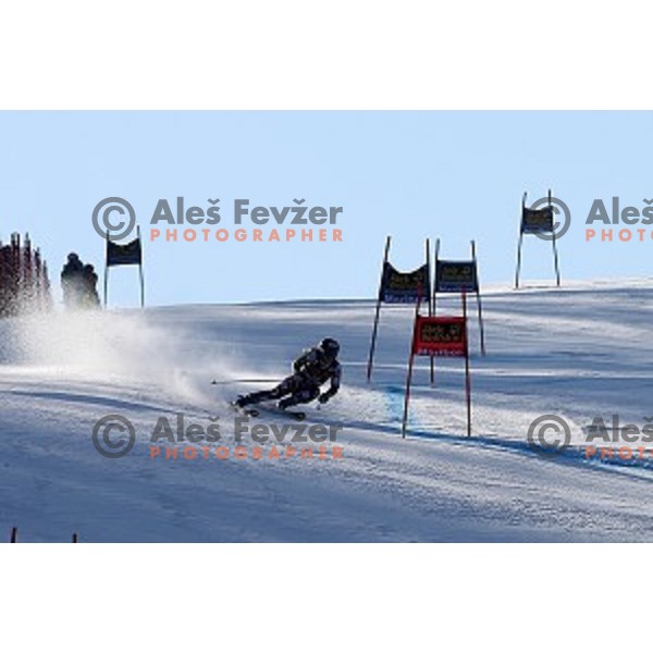 first run of 51. Golden Fox- Zlata Lisica FIS World Cup Giant Slalom in Maribor, Slovenia on February 21, 2015