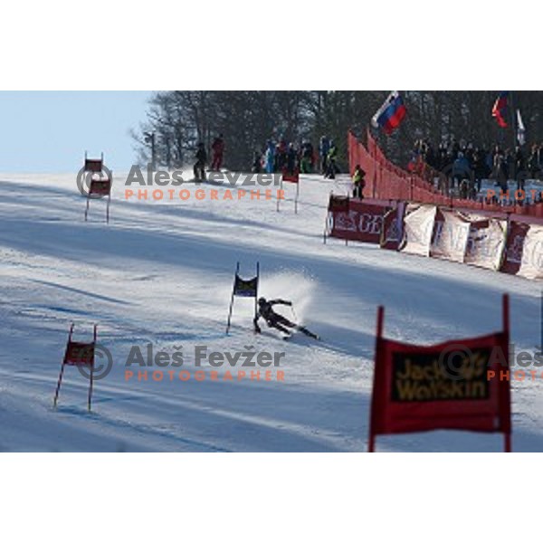 first run of 51. Golden Fox- Zlata Lisica FIS World Cup Giant Slalom in Maribor, Slovenia on February 21, 2015
